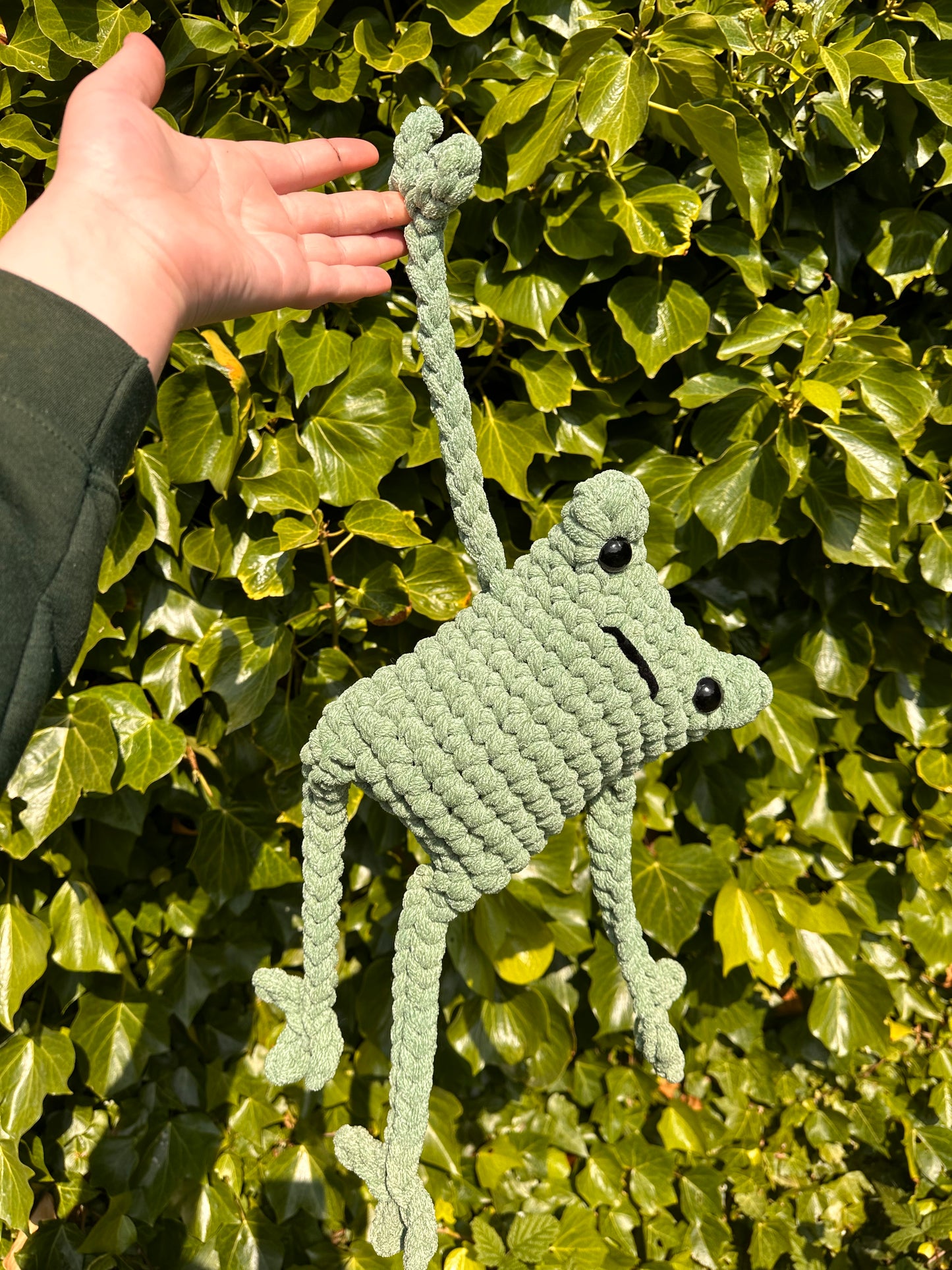 Giant Rope Crochet Leggy Frog