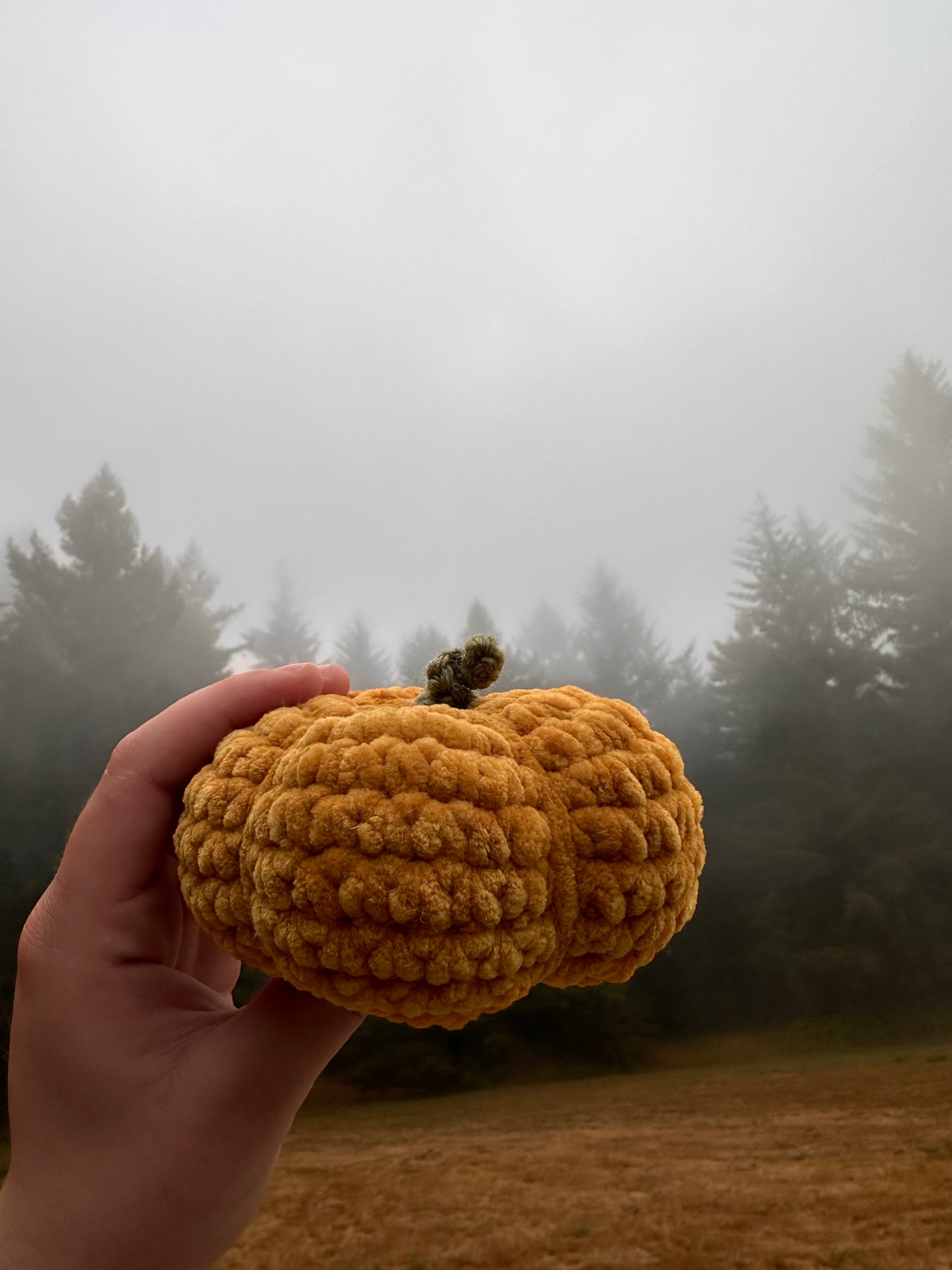 PLUSHIE: Pumpkin