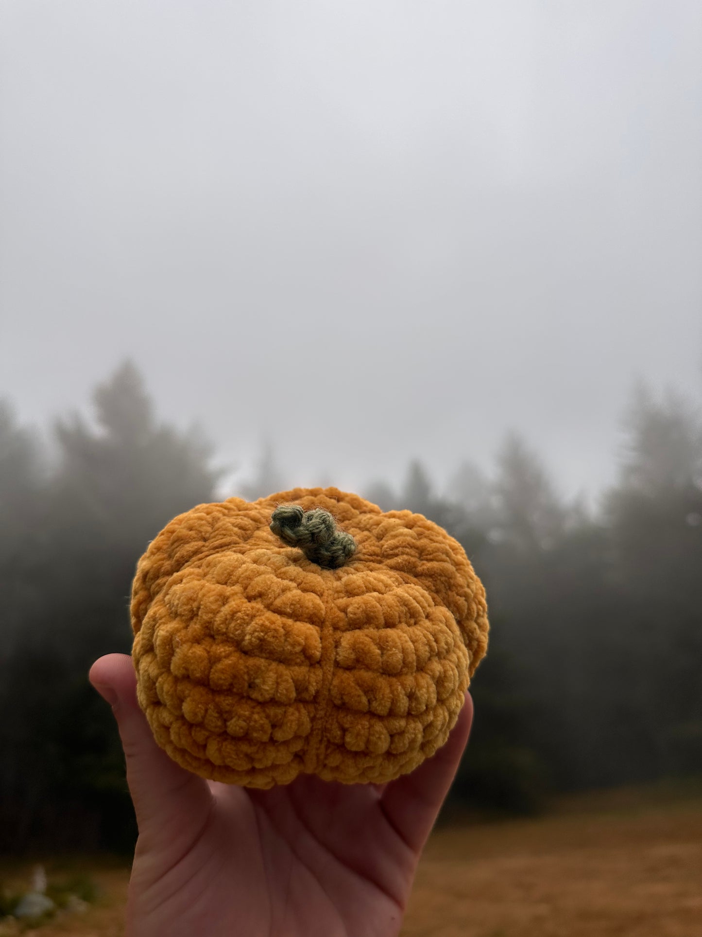 PLUSHIE: Pumpkin